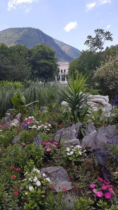 Grand T2 Calme Et Cosy Au « Pyrenees Palace » Bagnères-de-Luchon Extérieur photo
